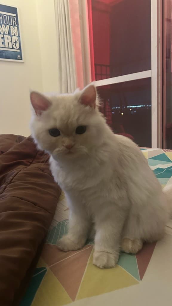 The bedtime stare. I'm the one being judged here.