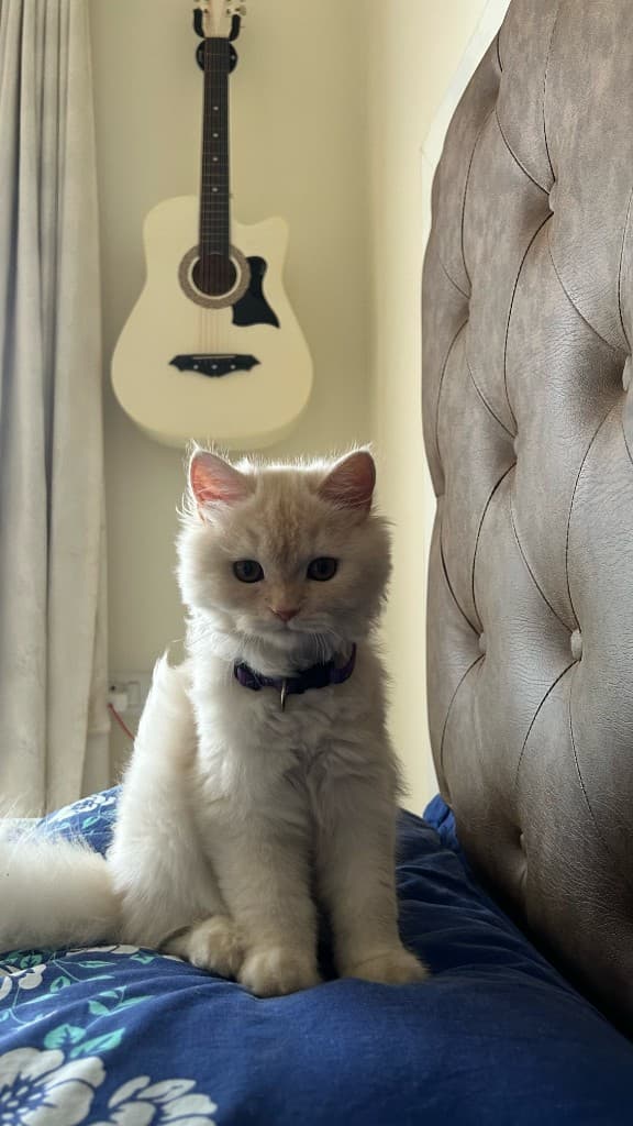 Album cover pose. She did not agree to this album.