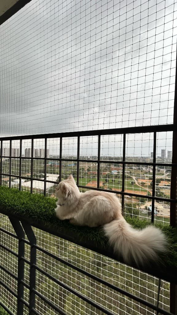 Admiring a skyline she fully believes she owns