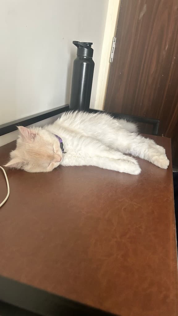 Out cold. This is 70% of her job.