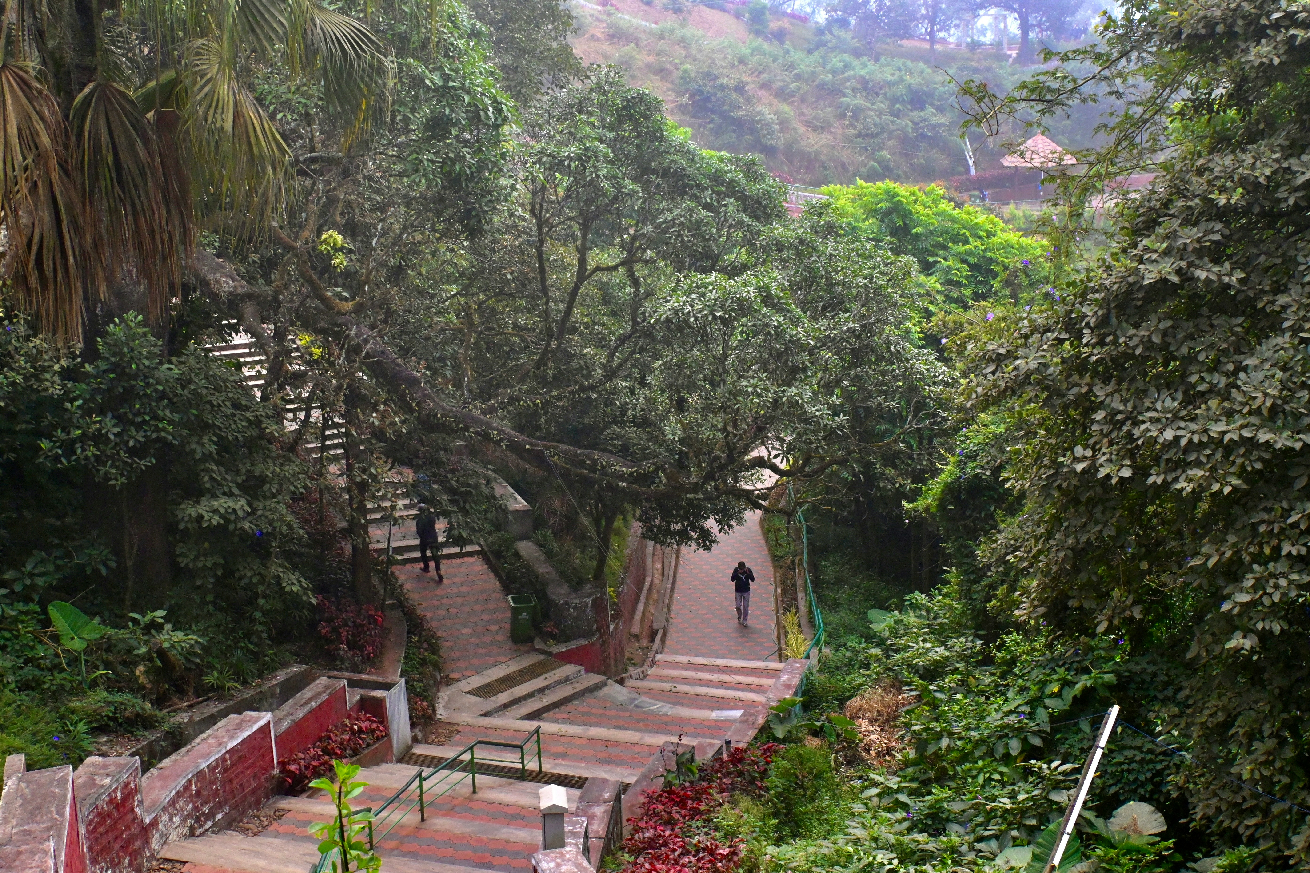 India Photo 12