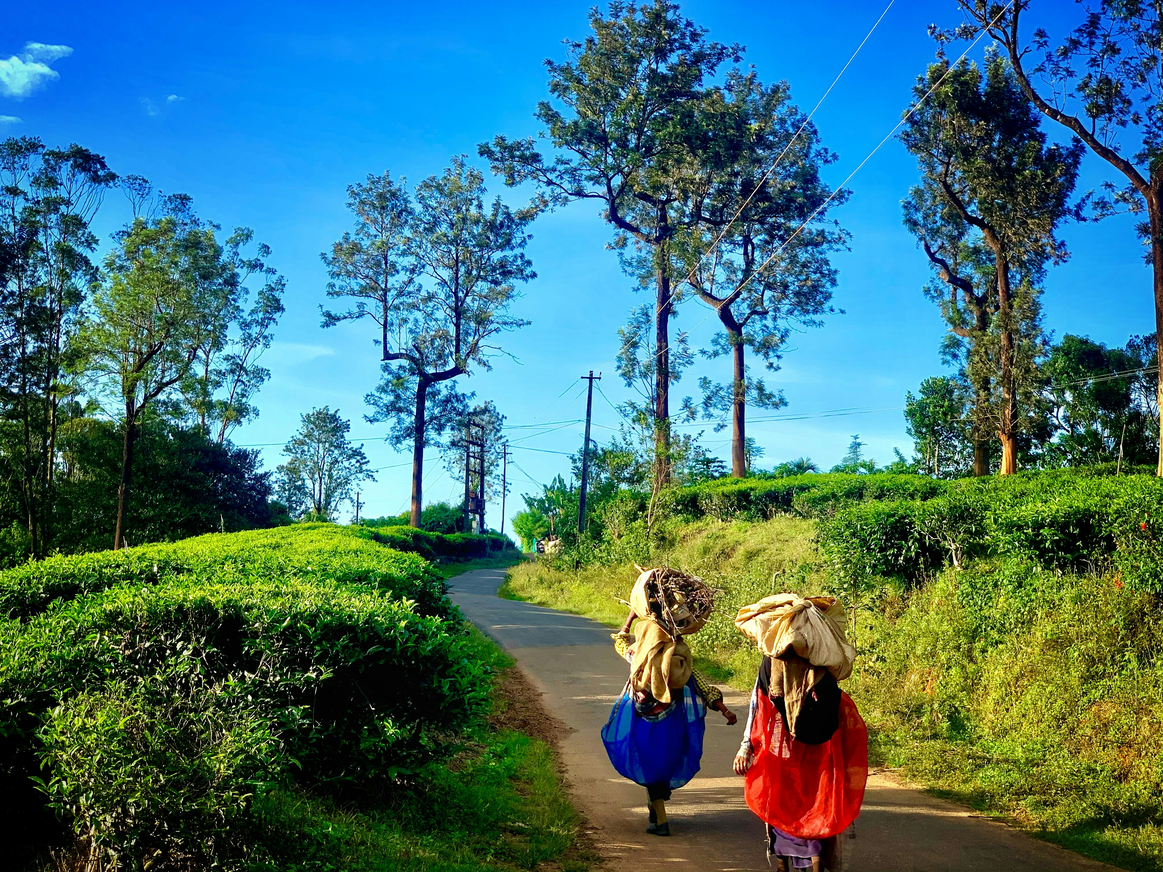India Photo 6