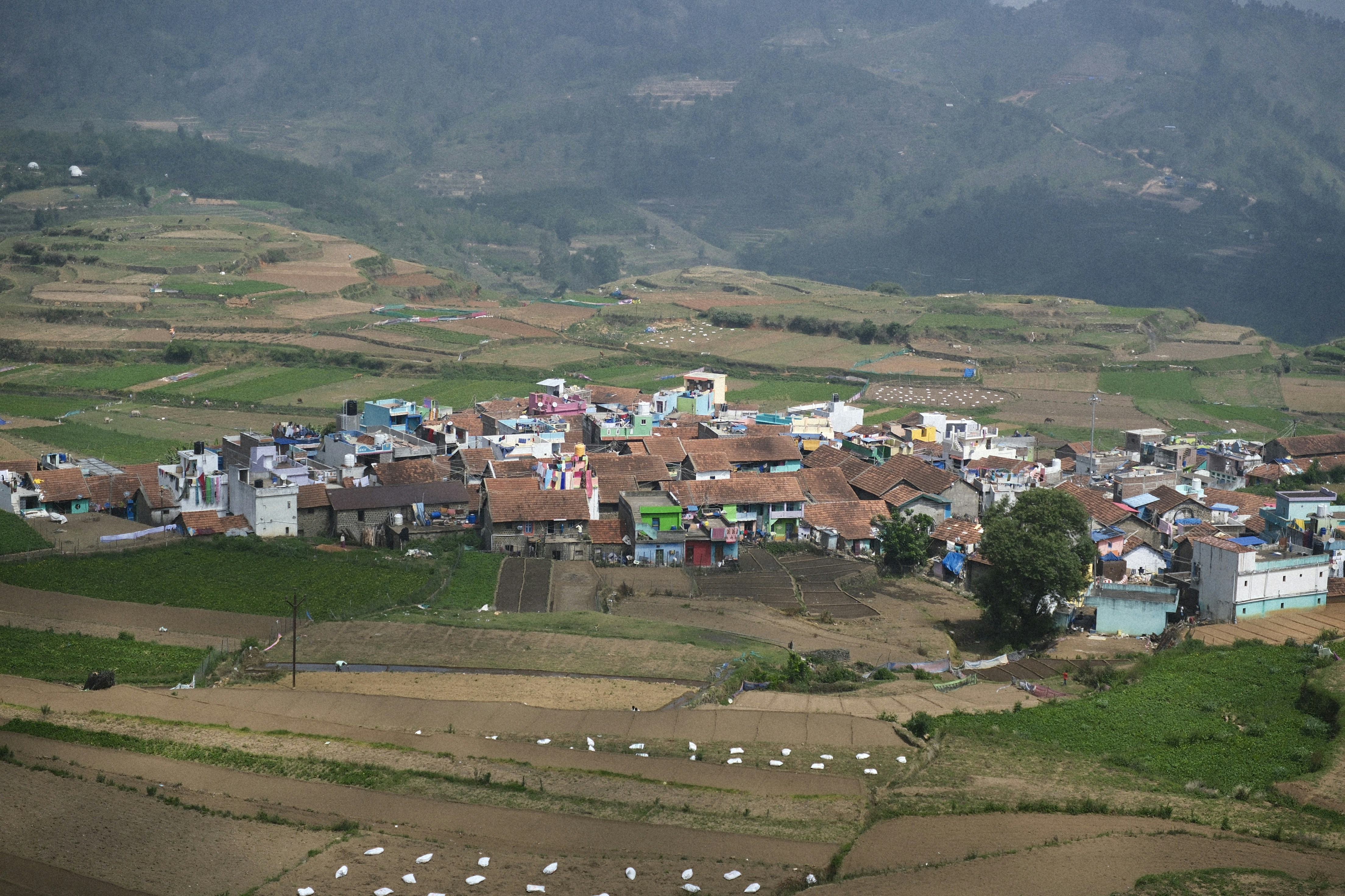 India Photo 3