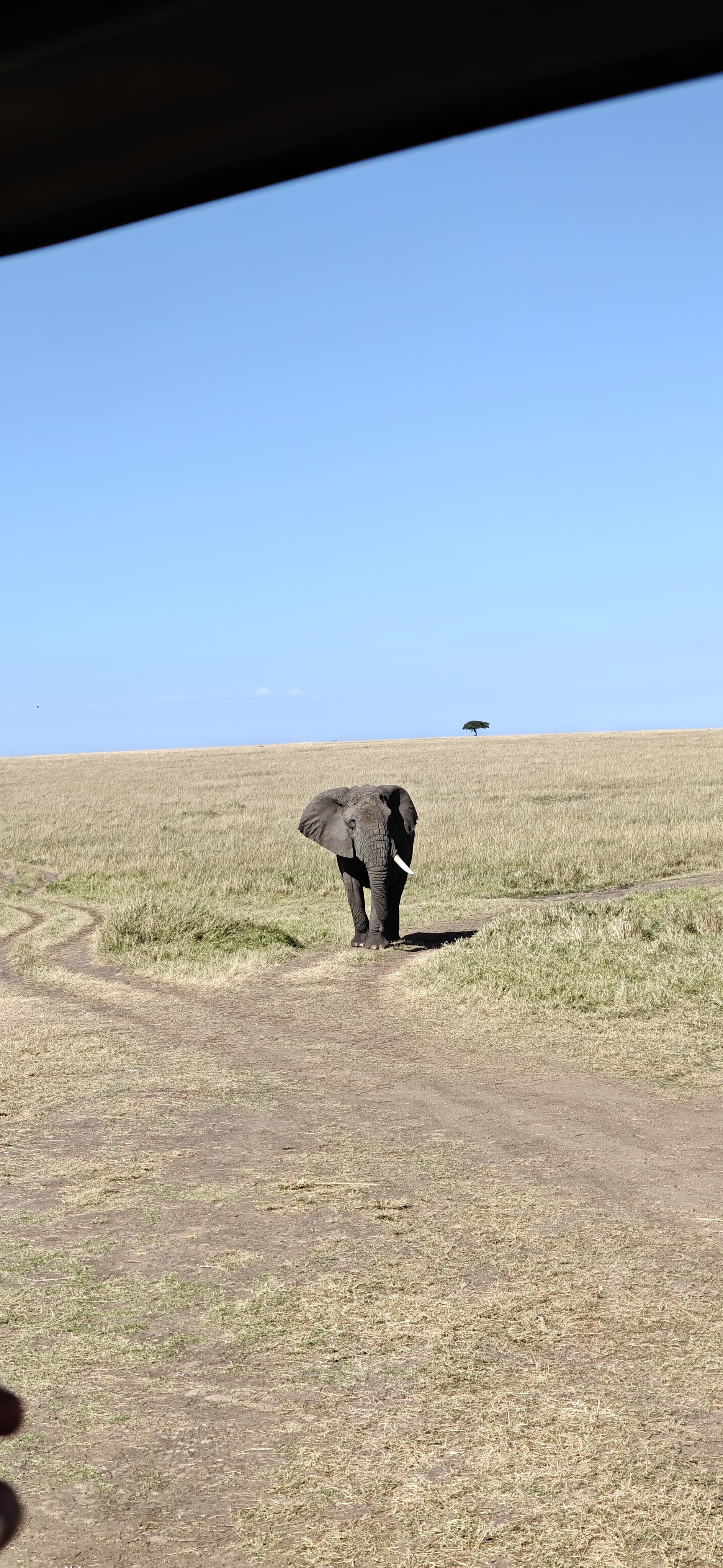 Kenya Photo 1